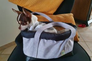 Eco-Lo-sac-chien-06